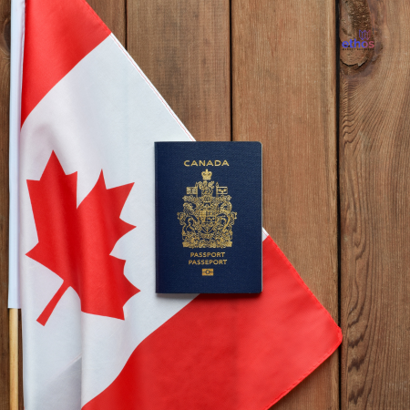 Canada’s Immigration Slowdown: What It Means for the Economy and Society